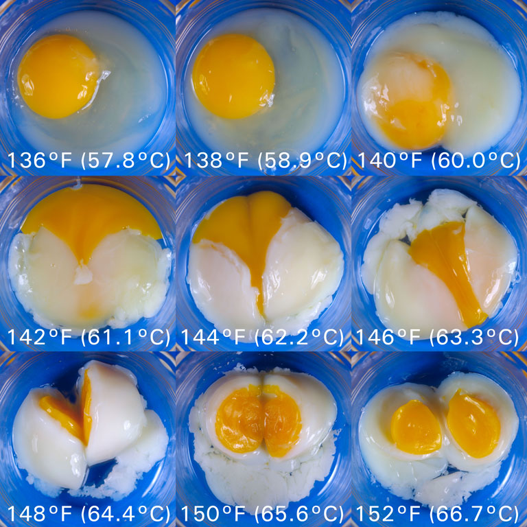 Pictures of eggs cooked at different temperatures.